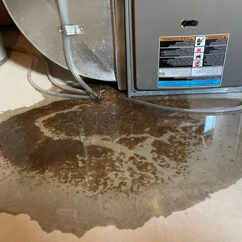 Pipe Burst and Leak Restoration in Hot Springs, SD